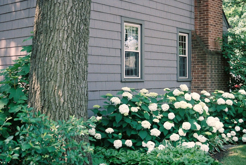 Cette photo montre un petit aménagement d'entrée ou allée de jardin latéral chic l'été avec une exposition ombragée et un paillis.
