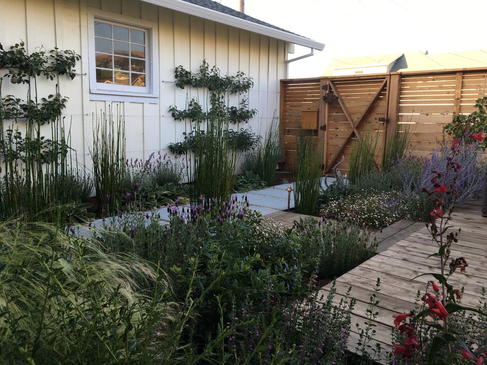 This is an example of a mid-sized farmhouse drought-tolerant and full sun front yard garden path in San Francisco with decking for summer.