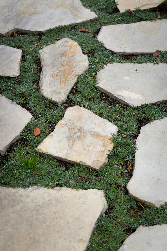 Foto di un giardino classico con un ingresso o sentiero e pavimentazioni in pietra naturale