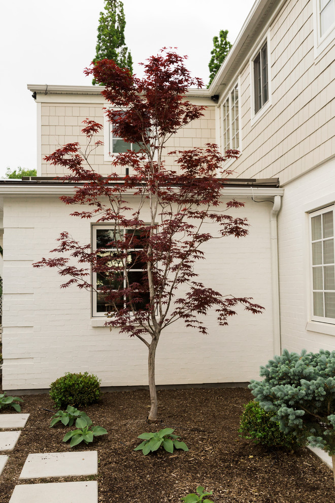 Tree For Front Yard Transitional Landscape Salt Lake City by