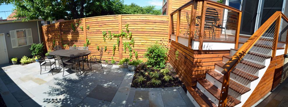 This is an example of a small contemporary courtyard garden in DC Metro.