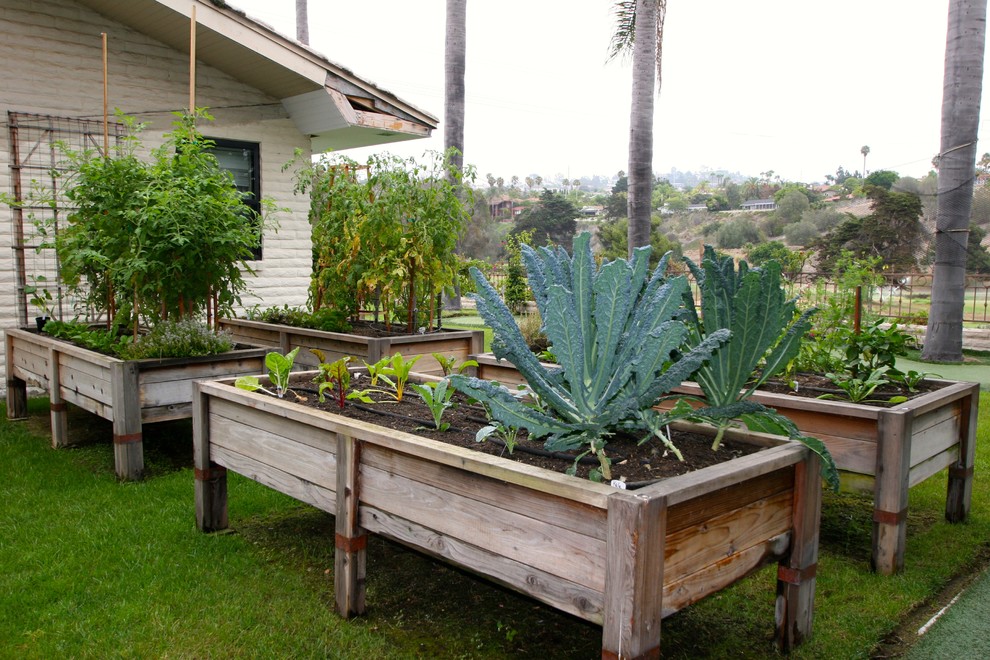 Exempel på en liten 60 tals trädgård i full sol längs med huset på sommaren, med en köksträdgård
