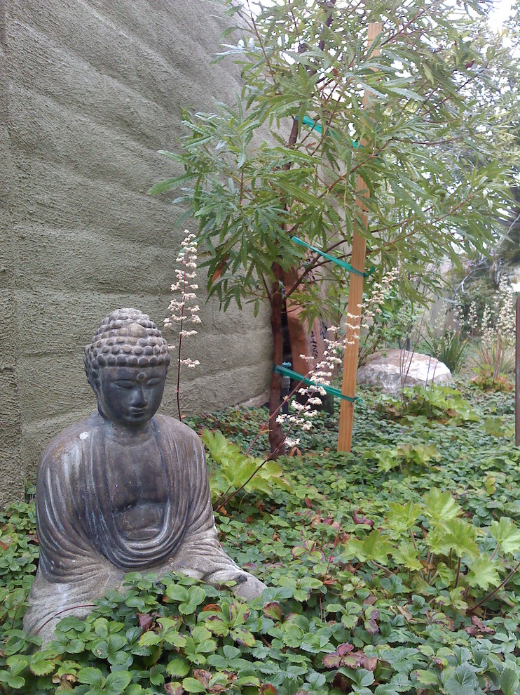 This is an example of an eclectic landscaping in San Francisco.