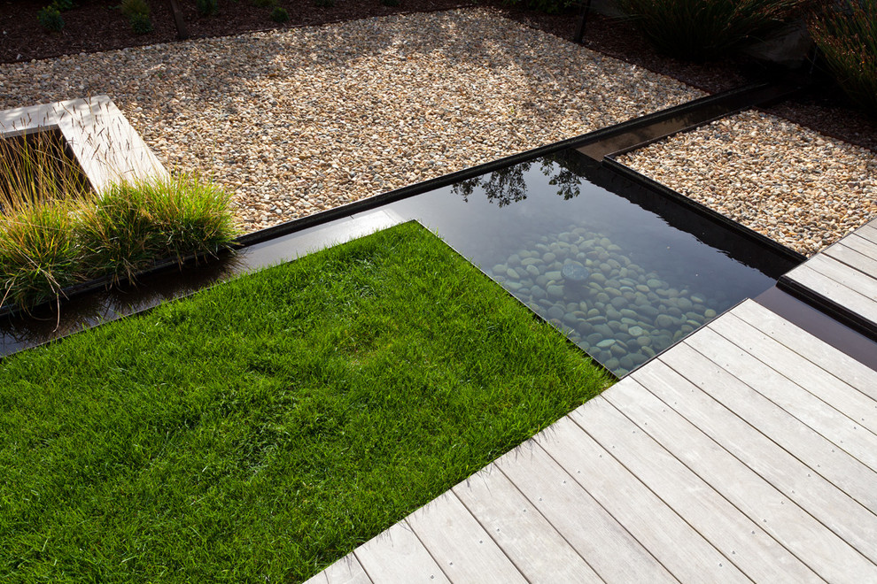 Modelo de jardín de secano contemporáneo de tamaño medio en patio trasero con estanque y adoquines de hormigón