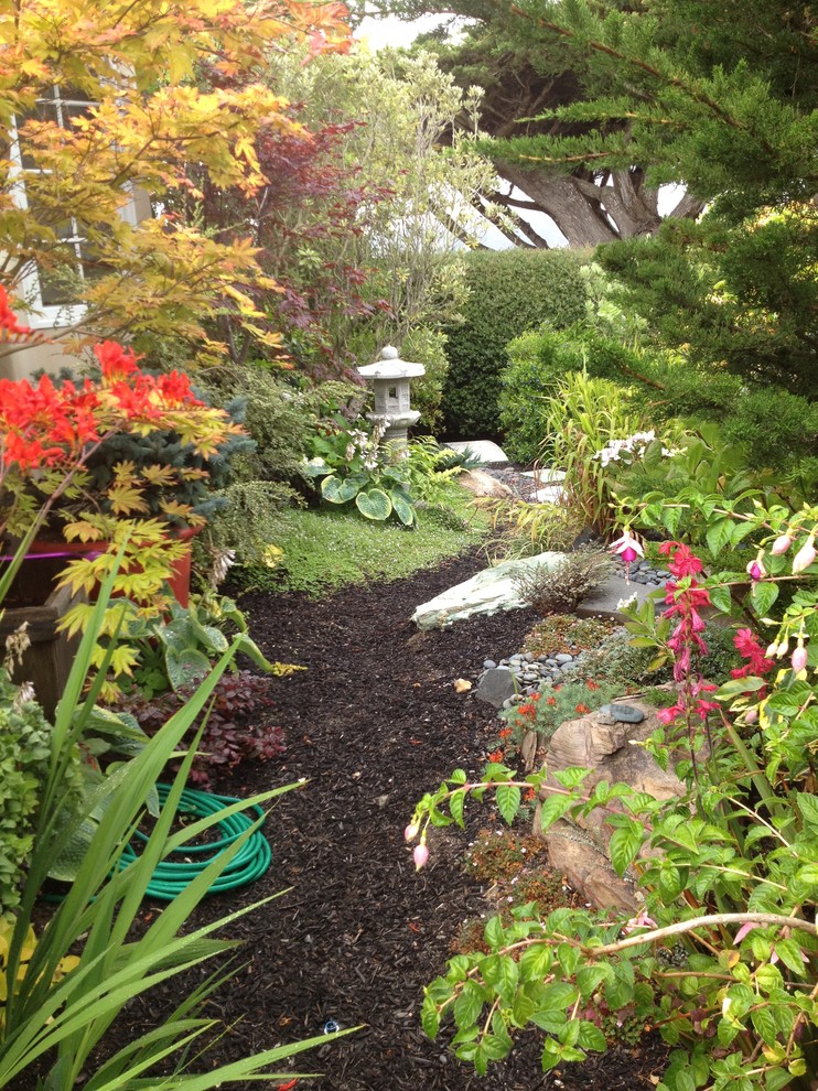 Immagine di un giardino tradizionale dietro casa in autunno