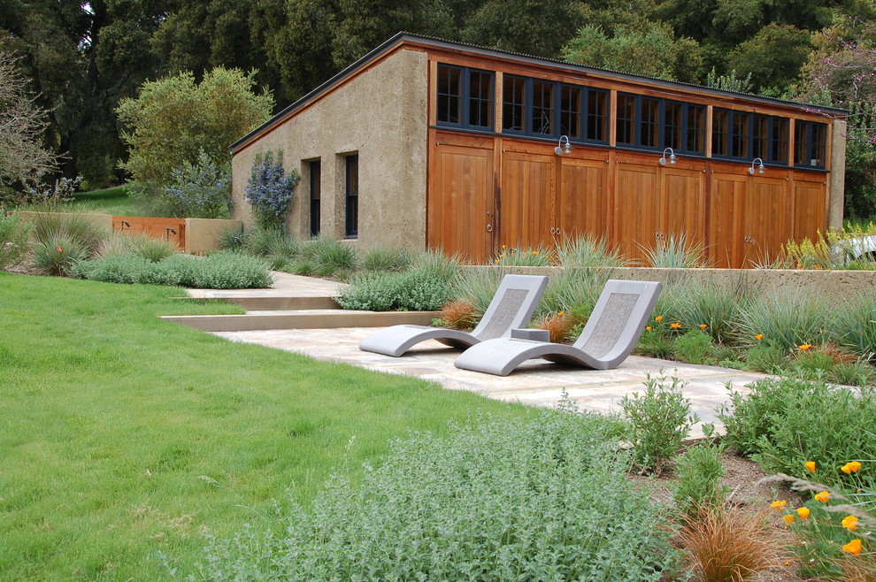 Design ideas for a contemporary backyard landscaping in Other.