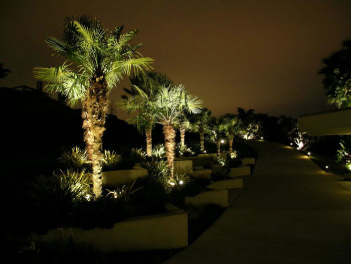 This is an example of a large contemporary front yard landscaping in San Diego.