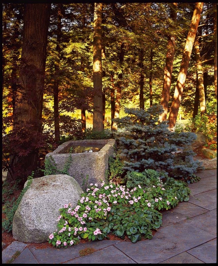 Immagine di un giardino rustico