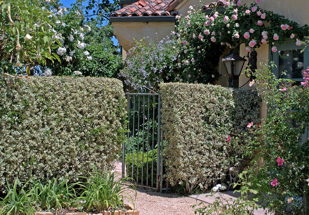 Esempio di un giardino mediterraneo nel cortile laterale con un ingresso o sentiero e ghiaia