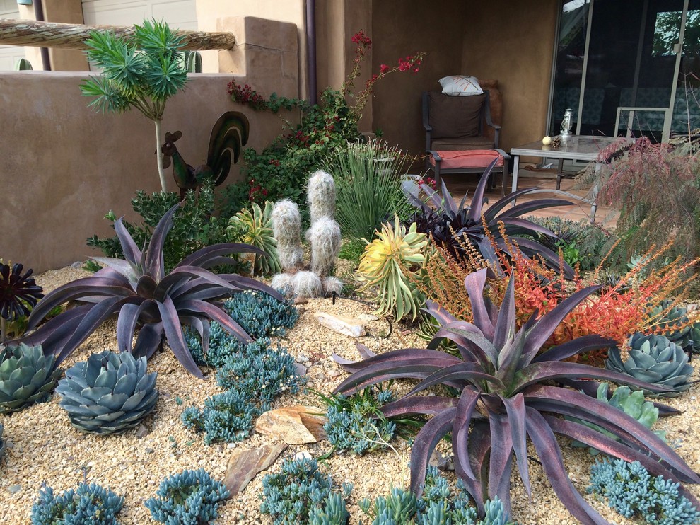 Стильный дизайн: солнечный, летний засухоустойчивый сад среднего размера на внутреннем дворе в стиле фьюжн с хорошей освещенностью, покрытием из гравия и пустынными растениями - последний тренд