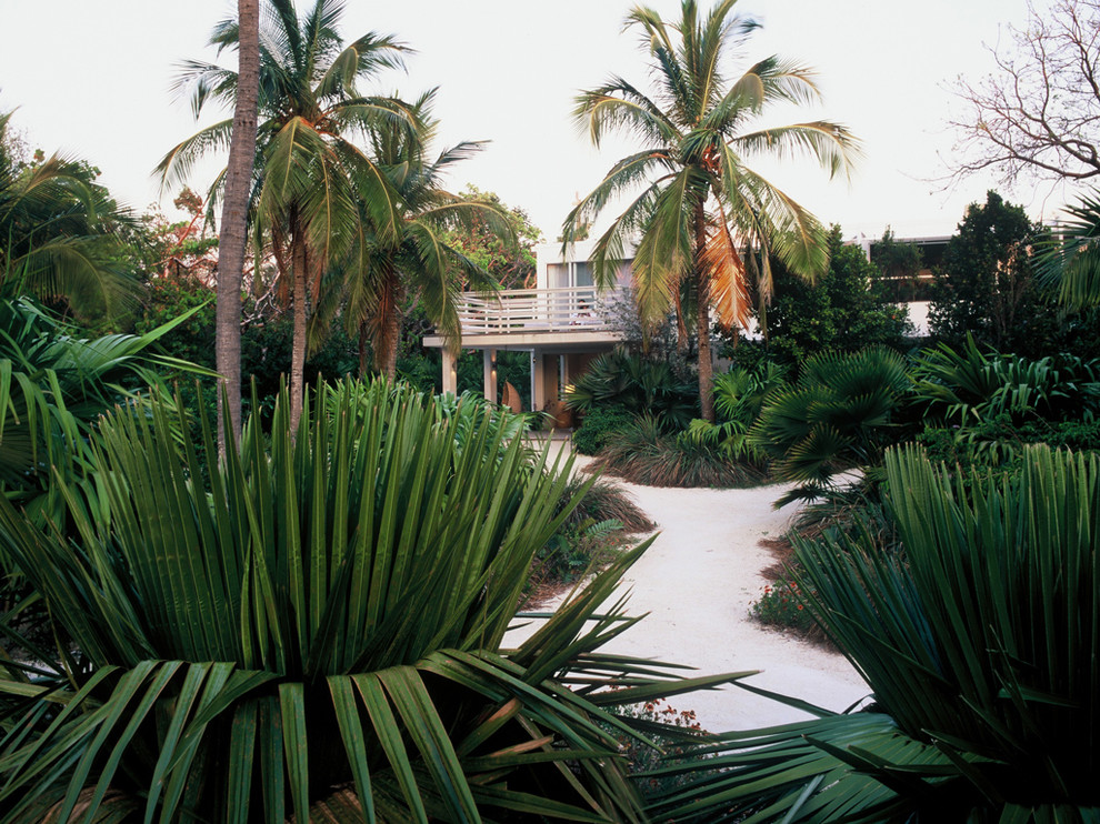 Photo of a world-inspired back garden in Miami.