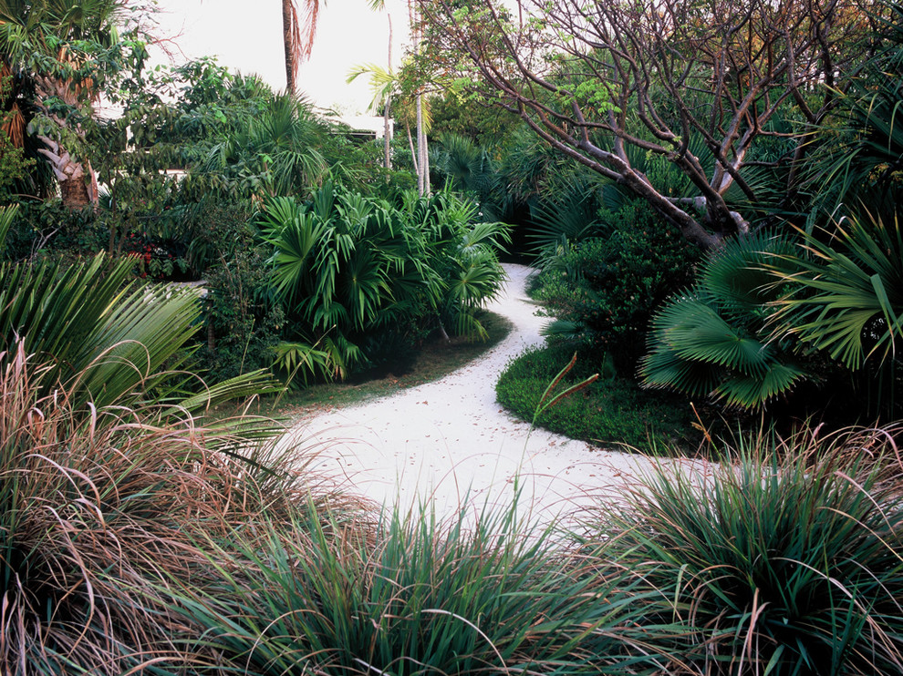 Inspiration for a tropical backyard landscaping in Miami.