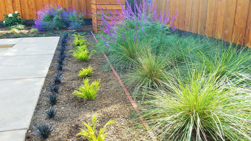На фото: маленький солнечный, весенний регулярный сад на заднем дворе в стиле модернизм с хорошей освещенностью и покрытием из гравия для на участке и в саду