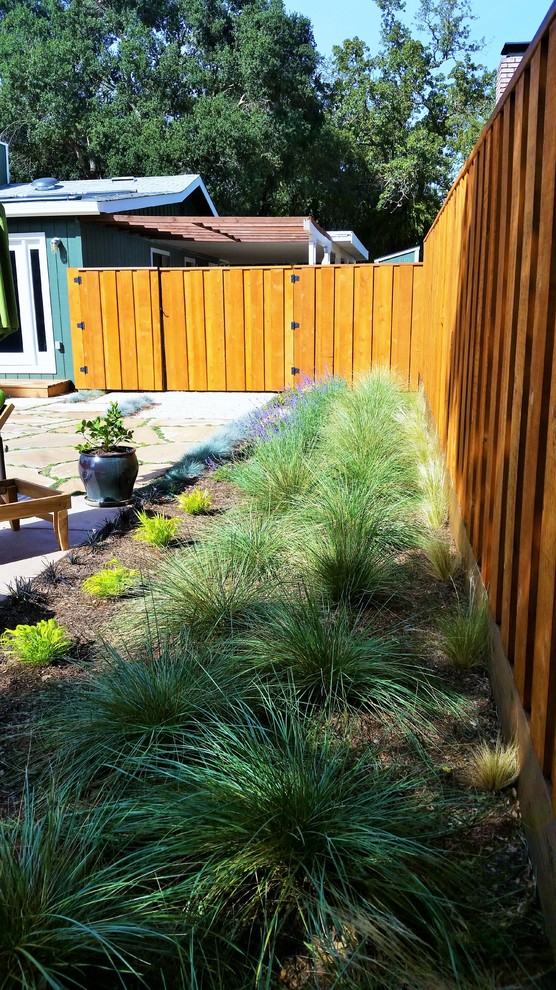 Small modern back formal full sun garden for spring in San Francisco with gravel.