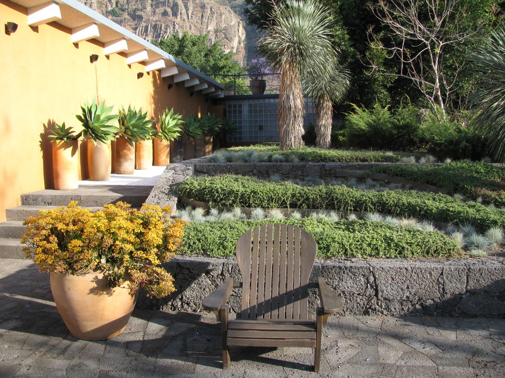 Design ideas for a modern garden in Mexico City.