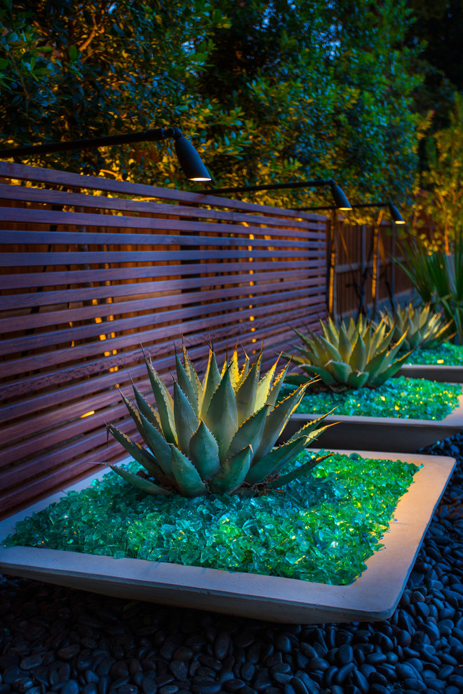 Пример оригинального дизайна: регулярный сад на заднем дворе в современном стиле с растениями в контейнерах, полуденной тенью и покрытием из гравия