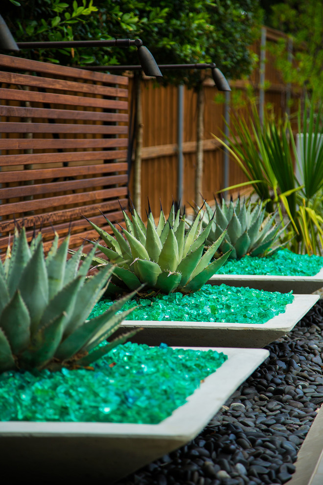 Design ideas for a contemporary back formal partial sun garden in Dallas with a potted garden and gravel.