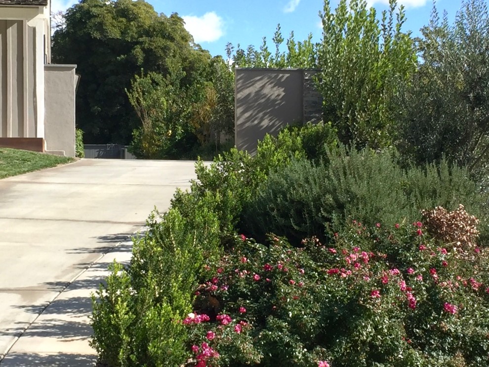 Large contemporary sloped xeriscape full sun garden for summer in Los Angeles with a retaining wall and mulch.