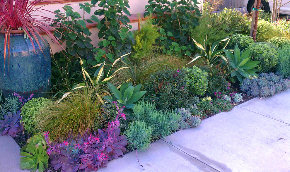Design ideas for a mediterranean garden in Orange County.