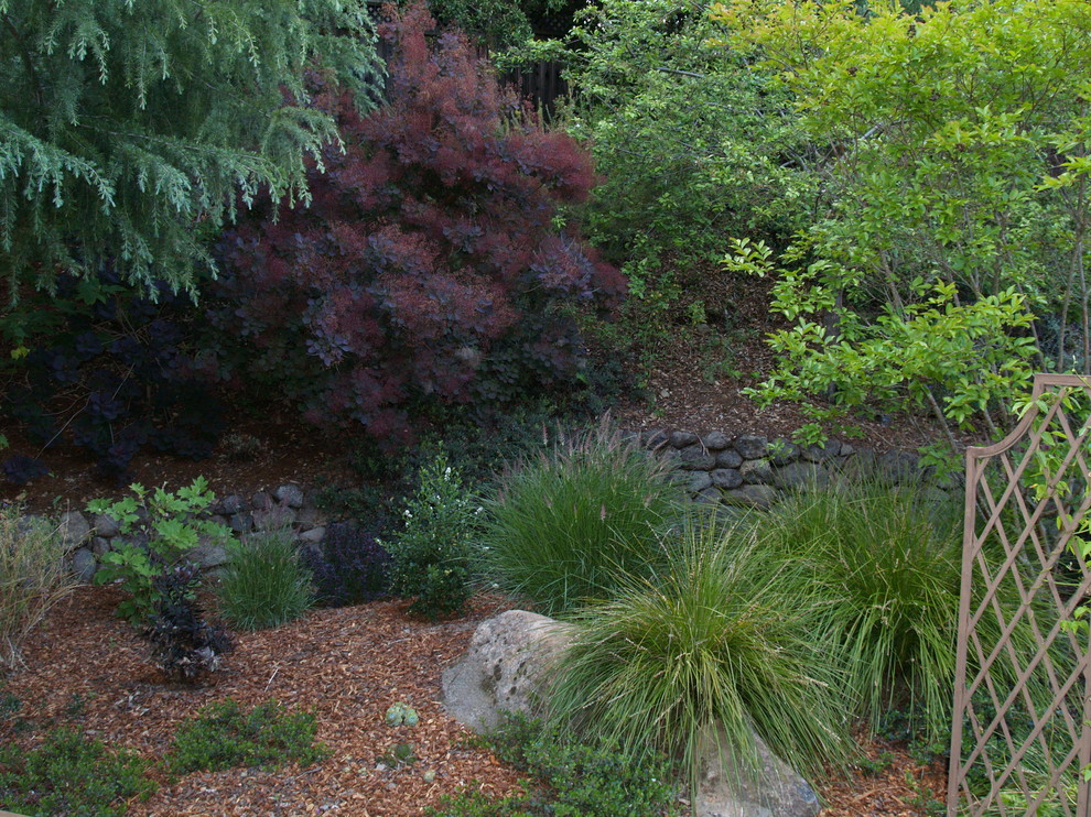 Idee per un giardino xeriscape tradizionale esposto in pieno sole di medie dimensioni e dietro casa in primavera con pacciame