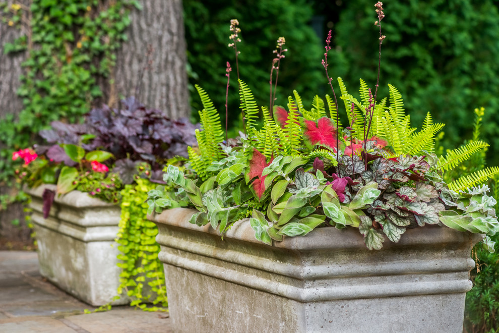 Geräumiger Klassischer Garten hinter dem Haus mit Kübelpflanzen und Natursteinplatten in New York