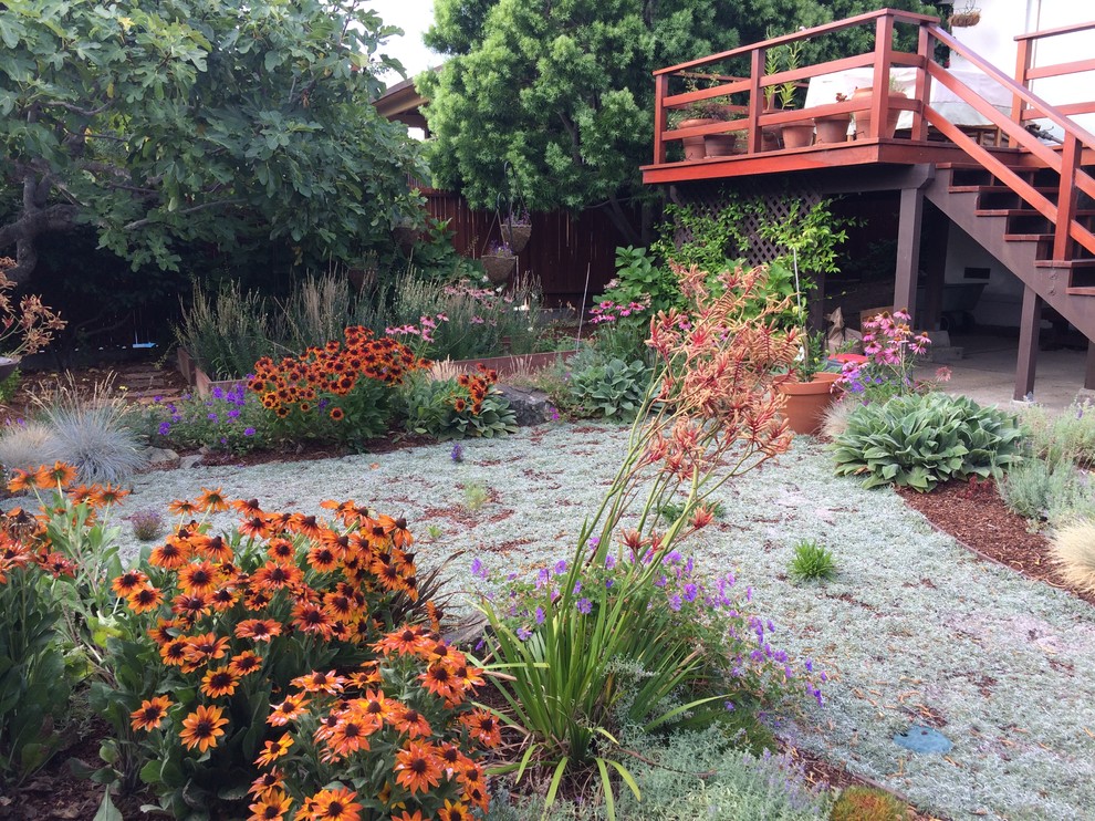 Idee per un piccolo giardino xeriscape mediterraneo esposto in pieno sole dietro casa con pacciame