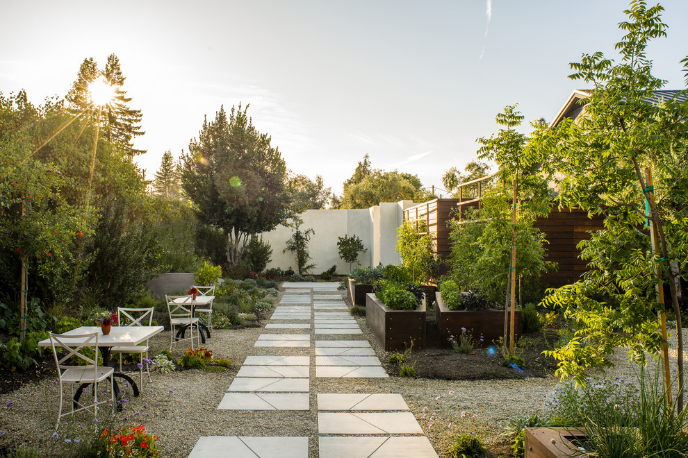 Großer Moderner Kiesgarten hinter dem Haus mit Kübelpflanzen und direkter Sonneneinstrahlung in San Francisco