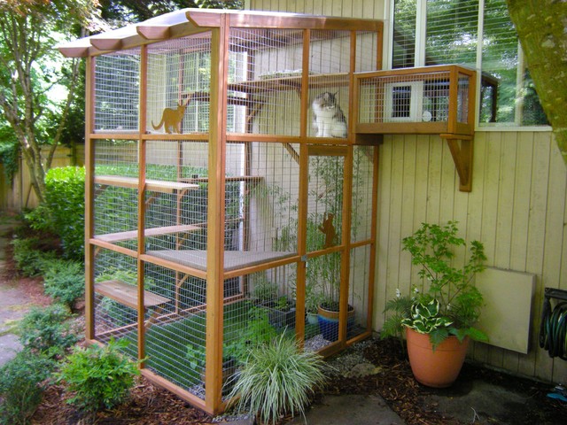catio space