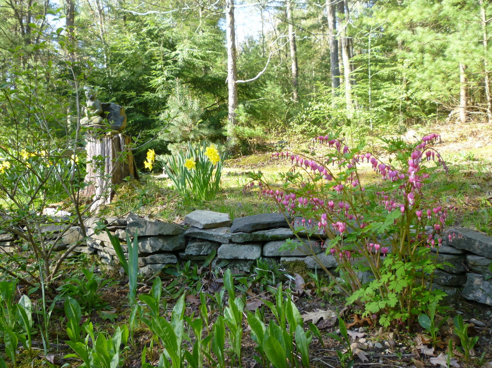 На фото: большой весенний засухоустойчивый сад на заднем дворе в стиле рустика с подпорной стенкой, полуденной тенью и покрытием из каменной брусчатки