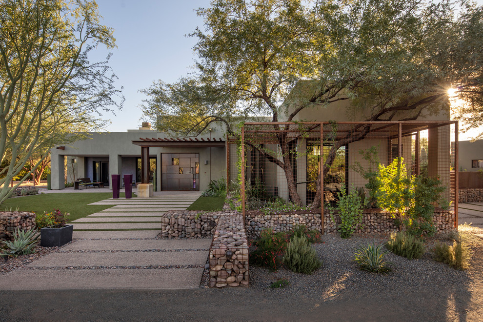 Contemporary front partial sun garden in Phoenix with gravel.