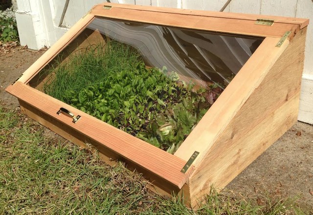 an image of wooden cold frame greenhouse with its lid closed and plants inside