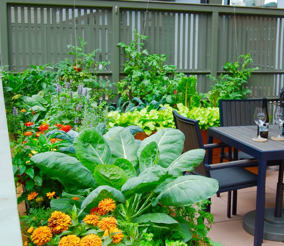 Стильный дизайн: маленький солнечный огород на участке на крыше в стиле модернизм с хорошей освещенностью для на участке и в саду - последний тренд