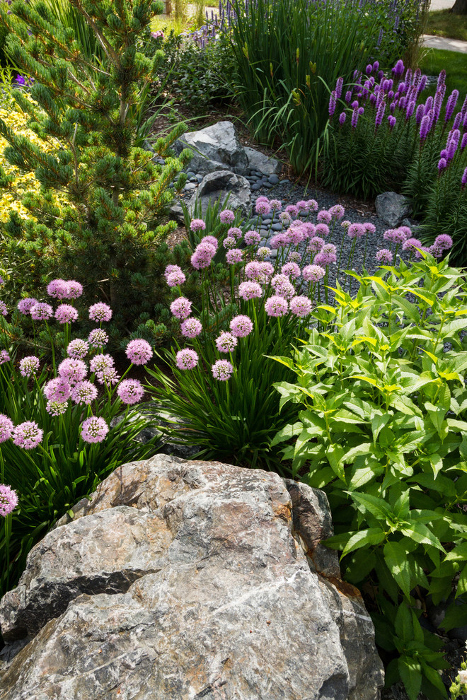Imagen de jardín minimalista de tamaño medio en verano en patio delantero con exposición total al sol y gravilla
