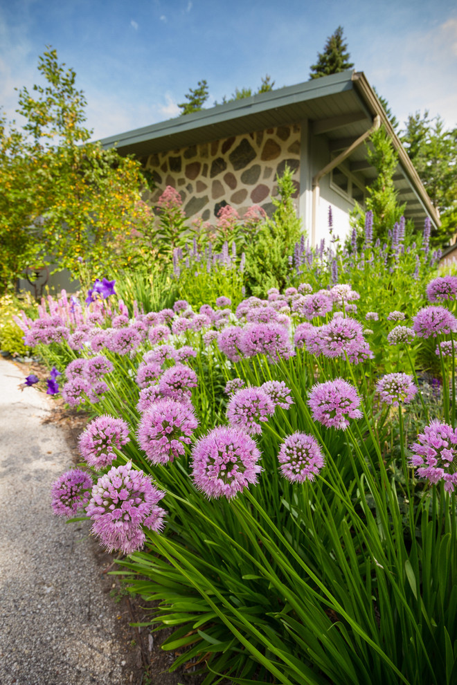 ミルウォーキーにある高級な中くらいな、夏のミッドセンチュリースタイルのおしゃれな庭 (日向、マルチング舗装) の写真