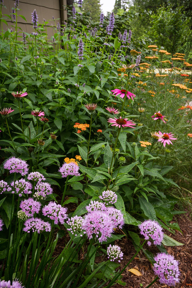 Inspiration for a small traditional full sun backyard mulch landscaping in Milwaukee for summer.