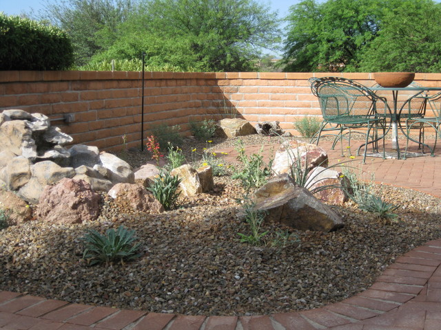 Celebrating native plants - American Southwest - Garden - Phoenix - by ...