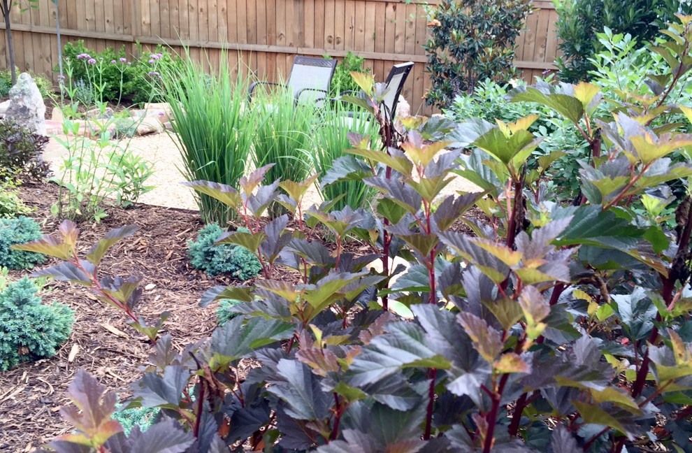 Rustikaler Garten mit direkter Sonneneinstrahlung in Charlotte
