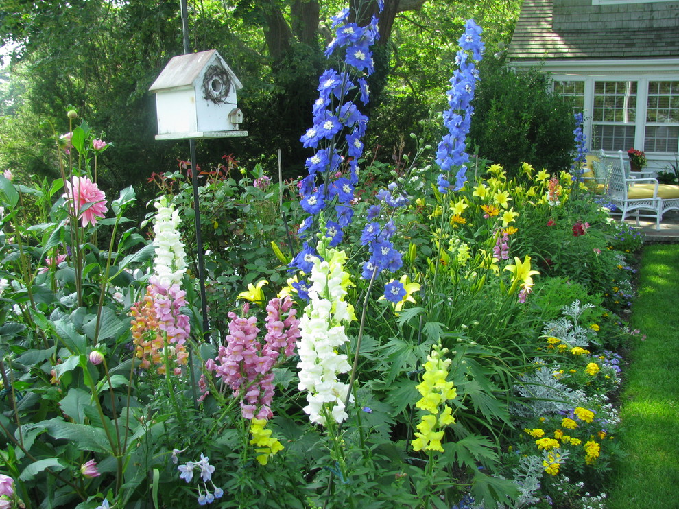 На фото: маленький летний регулярный сад на заднем дворе в классическом стиле с полуденной тенью для на участке и в саду с