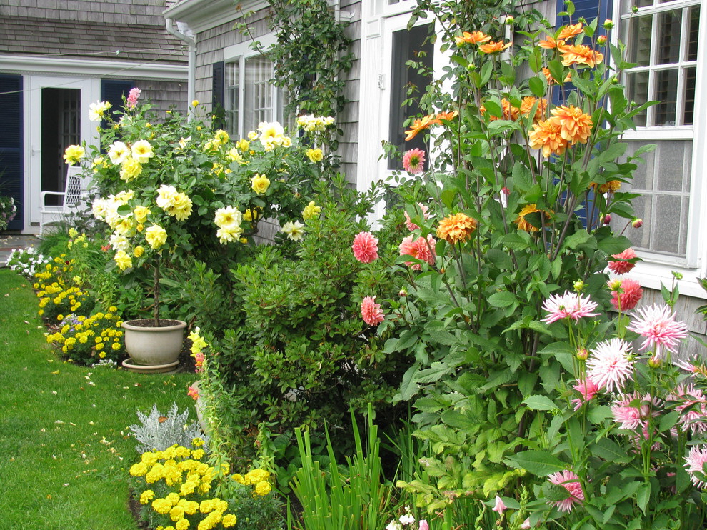 This is an example of a small traditional partial sun backyard landscaping in Boston for summer.