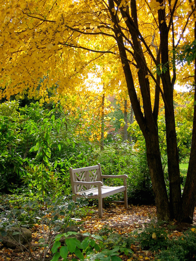 Traditional back garden seating for autumn in Toronto.