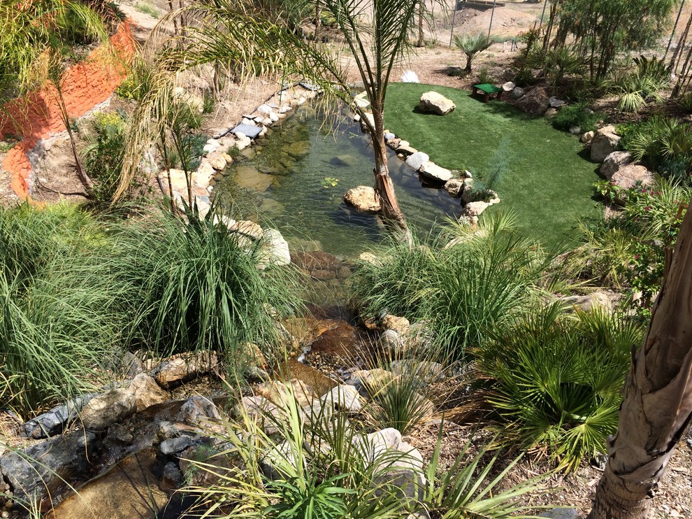 Modelo de jardín de secano asiático grande en verano en patio trasero con estanque y exposición total al sol