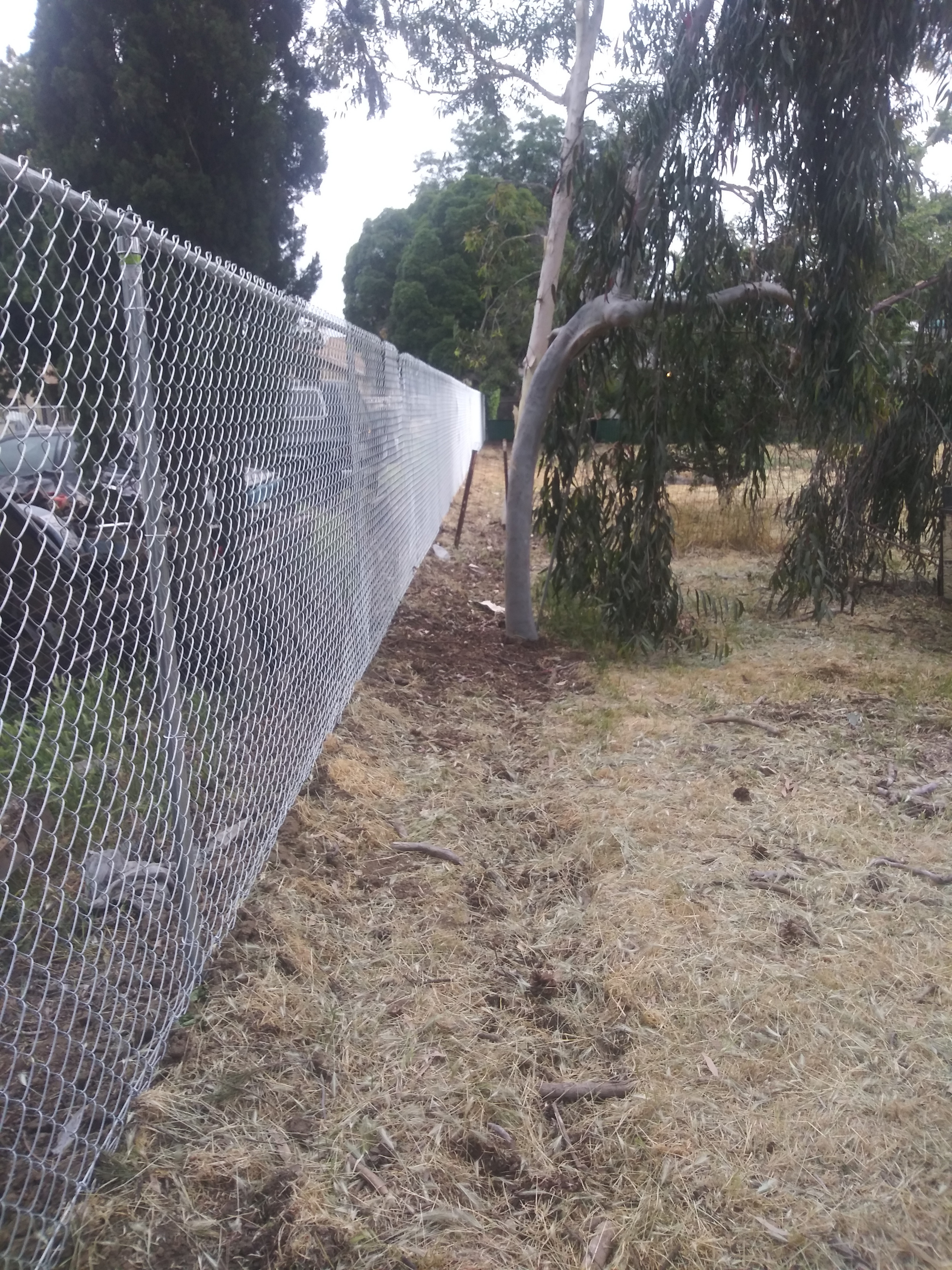 springhetti custom outdoor living on 75 Beautiful Brown Privacy Landscaping Pictures Ideas April 2021 Houzz