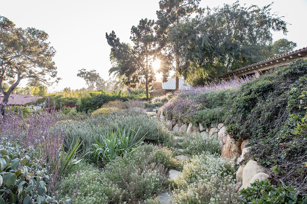 Photo of a mediterranean drought-tolerant backyard retaining wall landscape in Santa Barbara.