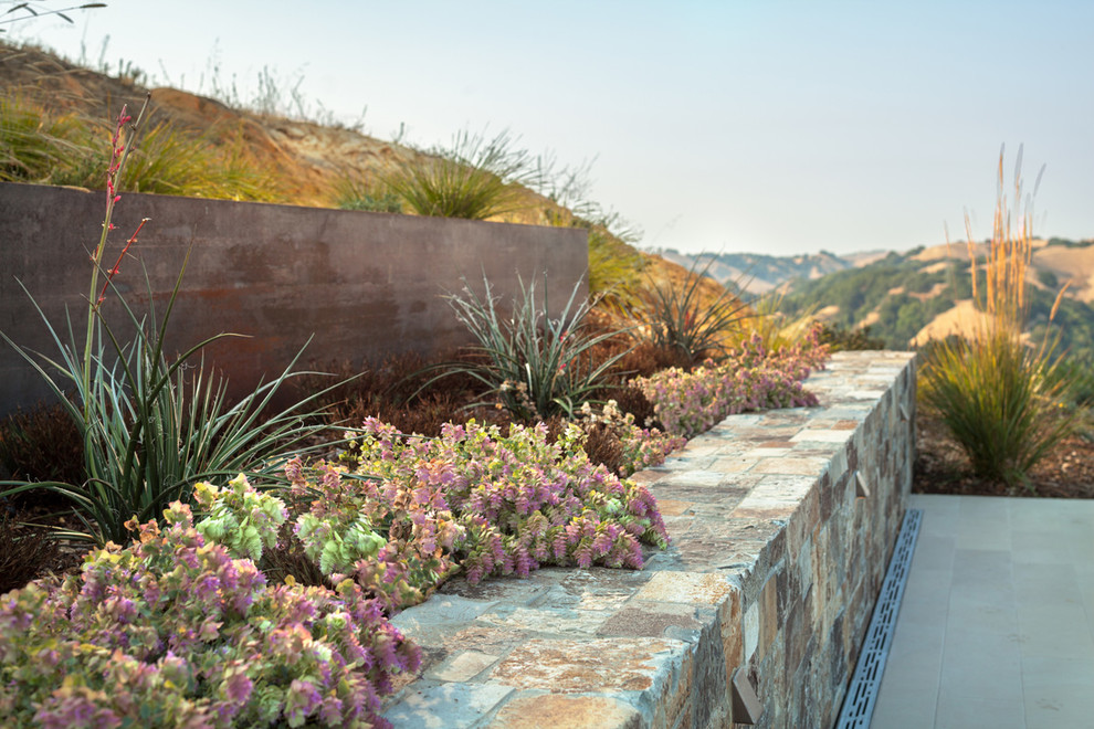 Cette image montre un grand jardin arrière design avec un mur de soutènement, une exposition ensoleillée et des pavés en pierre naturelle.