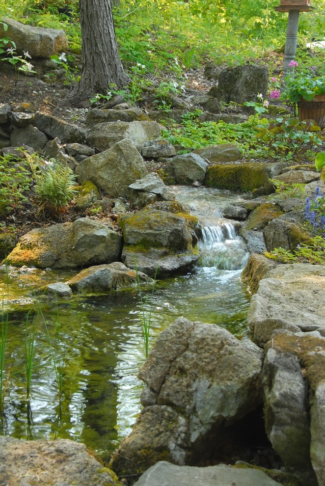 Charlotte Woodland Waterfall Classique Jardin Burlington par Church Hill Landscapes, Inc