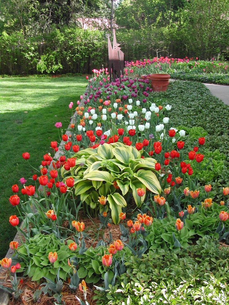 Idee per un giardino stile americano esposto a mezz'ombra dietro casa in primavera