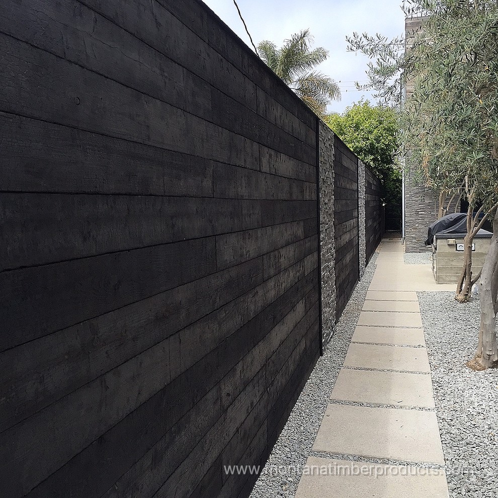 Photo of a contemporary drought-tolerant backyard landscaping in Los Angeles.