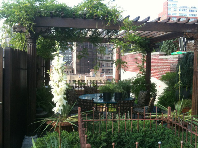 Geräumiger Stilmix Dachgarten im Sommer mit Kübelpflanzen, direkter Sonneneinstrahlung, Natursteinplatten und Metallzaun in New York