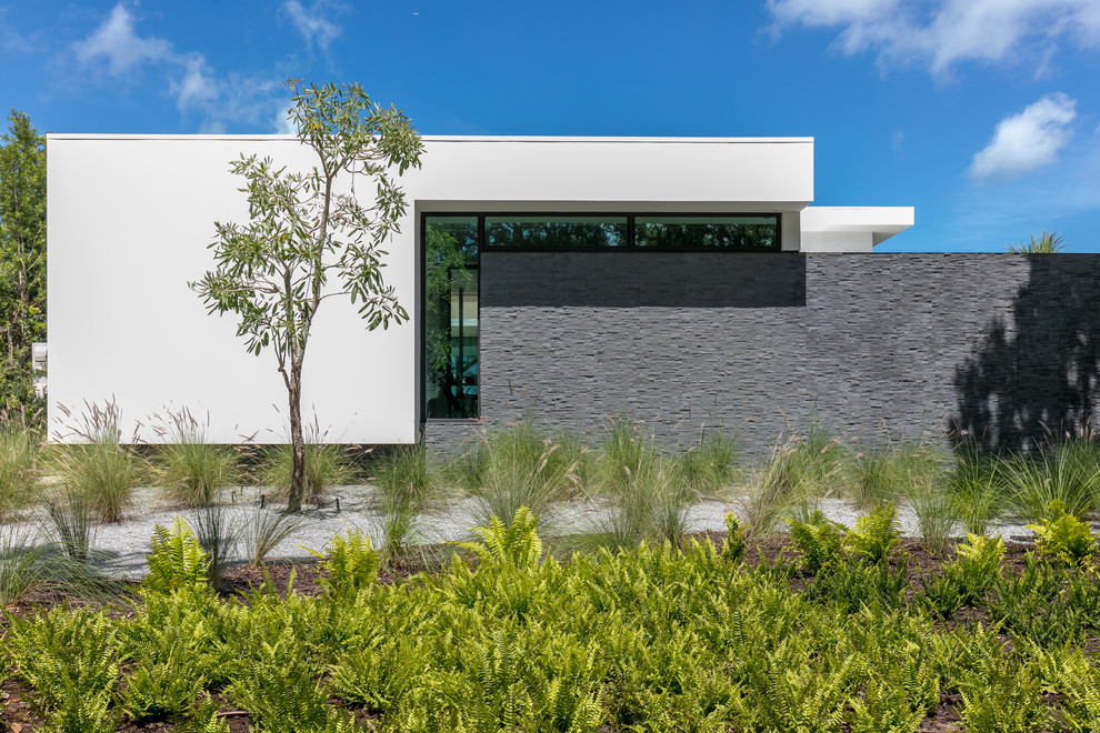 Photo of a large modern full sun landscaping in Tampa.