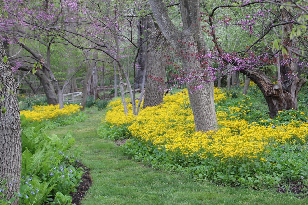 Chester Springs, Chester County PA Garden Design Landscape